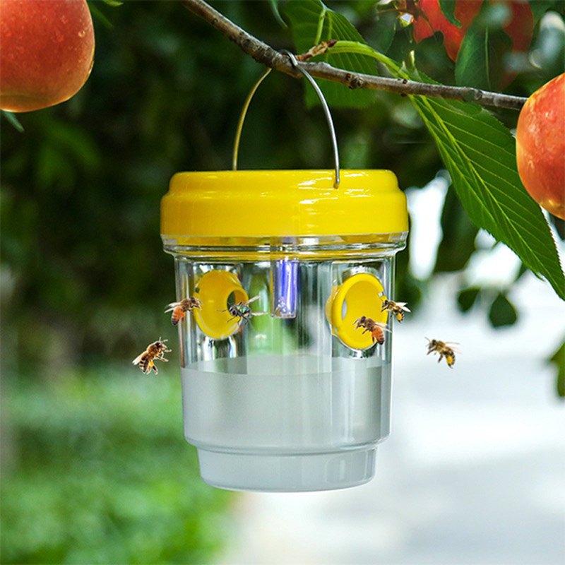 Outdoor Lighting Company - مصائد ذباب الفاكهة تعمل بالطاقة الشمسية