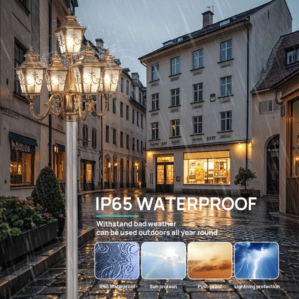 تخصيص في الهواء الطلق 5 رئيس ا - مراجعة Outdoor Lighting Poles وسعره
