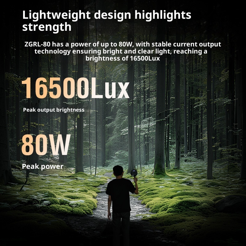 ZGRL80 80 واط COB LED الفيديو  - مراجعة Outdoor Lighting In Photography وسعره